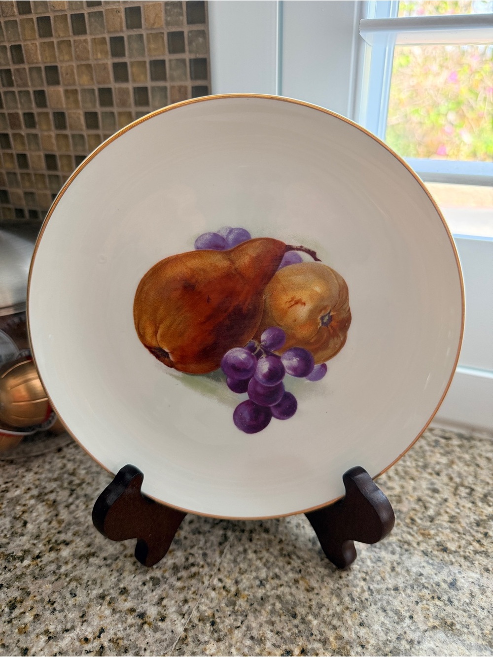 Vintage Hutschenreuther Germany Hand-Painted Plate